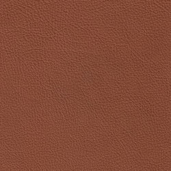 XTREME EMBOSSED 89112 Cuba | Colour brown | BOXMARK Leather GmbH & Co KG