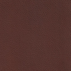 XTREME GEPRÄGT 89135 Haiti | Colour brown | BOXMARK Leather GmbH & Co KG