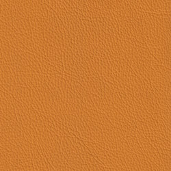 XTREME EMBOSSED 89180 Crete | Colour orange | BOXMARK Leather GmbH & Co KG