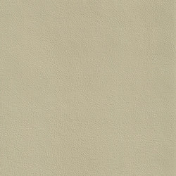 XTREME GLATT 15513 Carney | Natural leather | BOXMARK Leather GmbH & Co KG