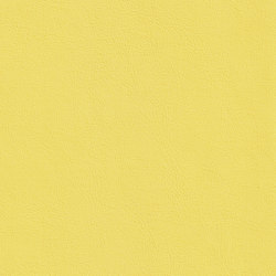 XTREME SMOOTH 25510 Adelaide | Colour yellow | BOXMARK Leather GmbH & Co KG