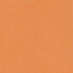 XTREME SMOOTH 25512 Roos | Colour orange | BOXMARK Leather GmbH & Co KG