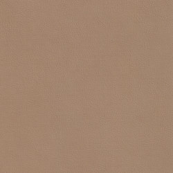 XTREME SMOOTH 25513 Burkett | Colour beige | BOXMARK Leather GmbH & Co KG