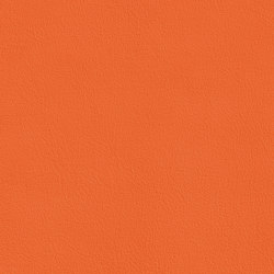 XTREME SMOOTH 35515 Franklin | Colour orange | BOXMARK Leather GmbH & Co KG