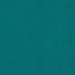 XTREME GLATT 55513 Charcot | Colour blue | BOXMARK Leather GmbH & Co KG