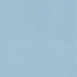 XTREME SMOOTH 55514 Scott | Colour blue | BOXMARK Leather GmbH & Co KG