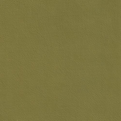 XTREME SMOOTH 65510 Dundee | Colour green | BOXMARK Leather GmbH & Co KG