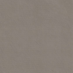 XTREME GLATT 75517 Laurie | Colour grey | BOXMARK Leather GmbH & Co KG