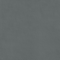 XTREME GLATT 75522 Bridgeman | Colour grey | BOXMARK Leather GmbH & Co KG
