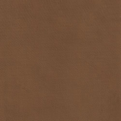 XTREME SMOOTH 85510 Gibbs | Colour brown | BOXMARK Leather GmbH & Co KG
