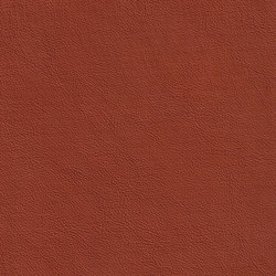 XTREME GLATT 85511 Livingston | Natural leather | BOXMARK Leather GmbH & Co KG