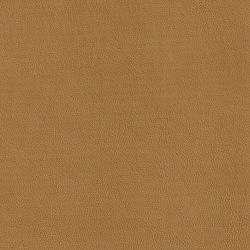 XTREME GLATT 85514 Rugged | Colour beige | BOXMARK Leather GmbH & Co KG