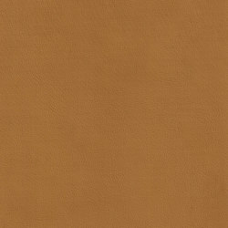 XTREME SMOOTH 85515 Smith | Colour beige | BOXMARK Leather GmbH & Co KG