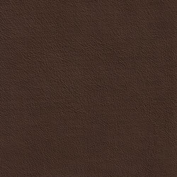 XTREME GLATT 85517 Holl | Colour brown | BOXMARK Leather GmbH & Co KG