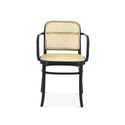 B-811 armchair | Chairs | Fameg