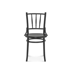 A-8145/14 chair | Chairs | Fameg