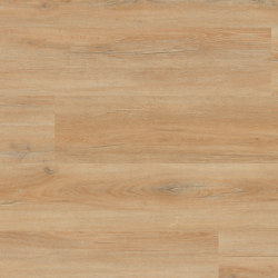 Floors@Home | 30 PW 3913 | Synthetic panels | Project Floors