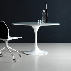 KONO | Contract tables | IVM