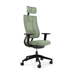 Newback Executive chair | Office chairs | Viasit