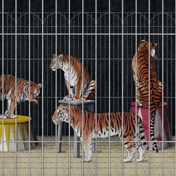 Tigers | Revestimientos de paredes / papeles pintados | LONDONART