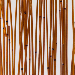 Invision bamboo curry | Colour brown | DesignPanel