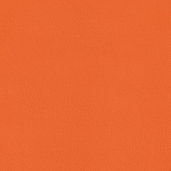 DUKE 35515 Robin | Colour orange | BOXMARK Leather GmbH & Co KG