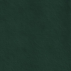 DUKE 65512 Astrild | Colour green | BOXMARK Leather GmbH & Co KG