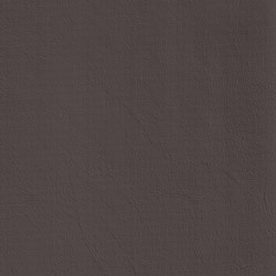DUKE 65711 Aestiva | Colour grey | BOXMARK Leather GmbH & Co KG