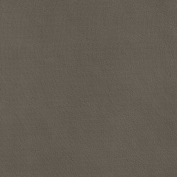 DUKE 75519 Pigeon | Colour grey | BOXMARK Leather GmbH & Co KG