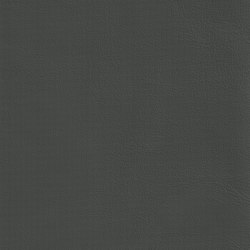 DUKE 75763 Harpyie | Colour grey | BOXMARK Leather GmbH & Co KG