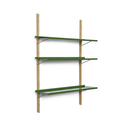 RM3 | Shelf, reseda green RAL 6011 | Estantería | Magazin®