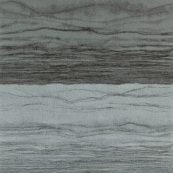 Metamorphic Pewter/Lead | Wall coverings / wallpapers | Anthology