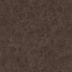 Lacquer Walnut | Wall coverings / wallpapers | Anthology