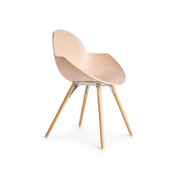 Cookie solid beech frame | Chairs | Infiniti