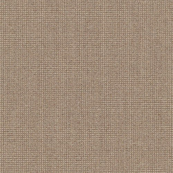 Elastic Wool | Seed | Upholstery fabrics | Luum Fabrics