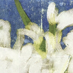Soleil levant | Mémoire d'un jardin | TP 283 03 | Revestimientos de paredes / papeles pintados | Elitis