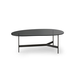 LXT01 | Tabletop oval | Leolux LX