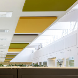 Silente en adhérence | Sound absorbing ceiling systems | Caruso Acoustic