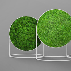 G-Screen |  | Greenmood