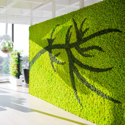 Green Wall Lichen | Wall decoration | Greenmood