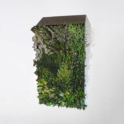 Living / Green walls | Wall decoration