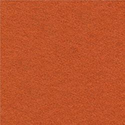 Terra | 005 | 3080 | 03 | Upholstery fabrics | Fidivi