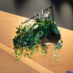 Green for Indoor | VP-Cloud | Plant pots | Verde Profilo