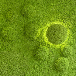 MOSSwall® Round | Living / Green walls | Verde Profilo