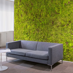MOSSwall® Fusion | Wall decoration | Verde Profilo