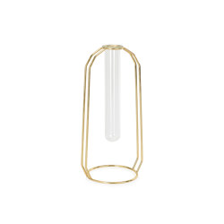 Decoration Complemens | Glass Tube/ Gold Metal Vase 12X10X25
