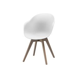 Adelaide Chair D064 | Chairs | BoConcept