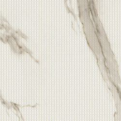 Prestigio Mesh |  | Refin