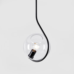 Fiddlehead Pendant (Black/Clear) | Suspended lights | Roll & Hill
