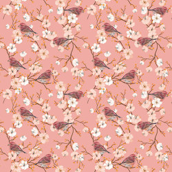 Moineau À Fleurs De Cerisier | Wall coverings / wallpapers | GMM